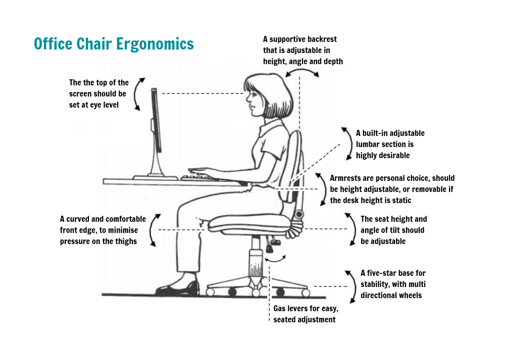 Office chair ergonomics keep the body healthy