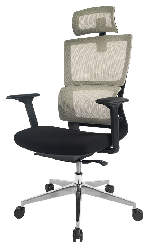 Ergonomic Office Chair BS2